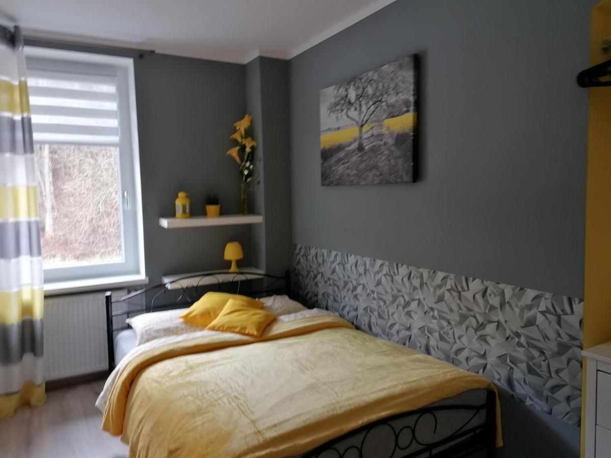 Apartament Grosik Duszniki Zdrój Exteriér fotografie